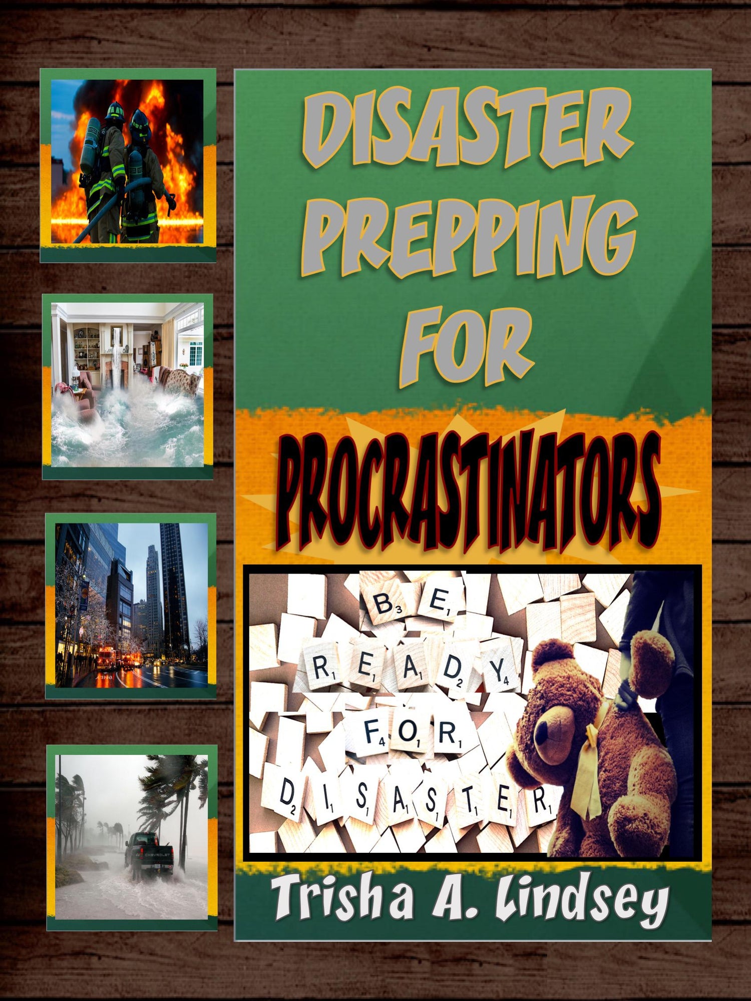 Disaster Prepping for Procrastinators Series