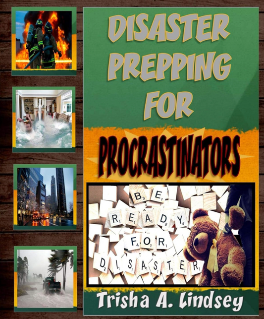 Disaster Prepping for Procrastinators - Disaster Prepping for Procrastinators Series